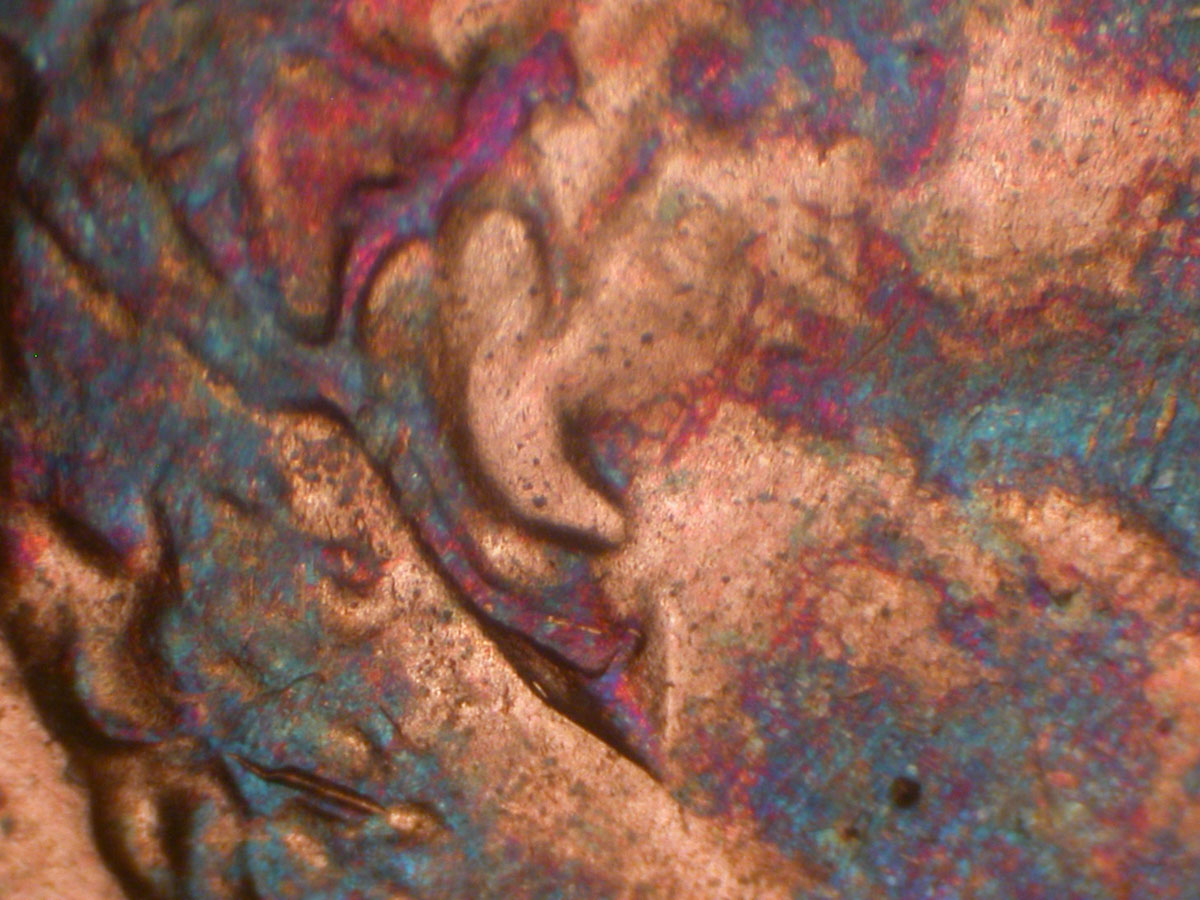 Read more about the article Lincoln Memorial Cent  1983-D    DDO-001 / Denver