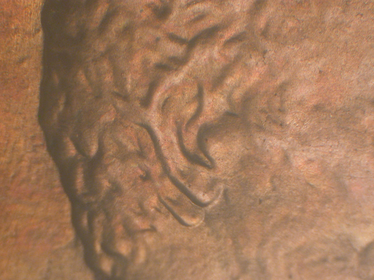 Read more about the article Lincoln Memorial Cent  1984    DDO-001 / Philadelphia