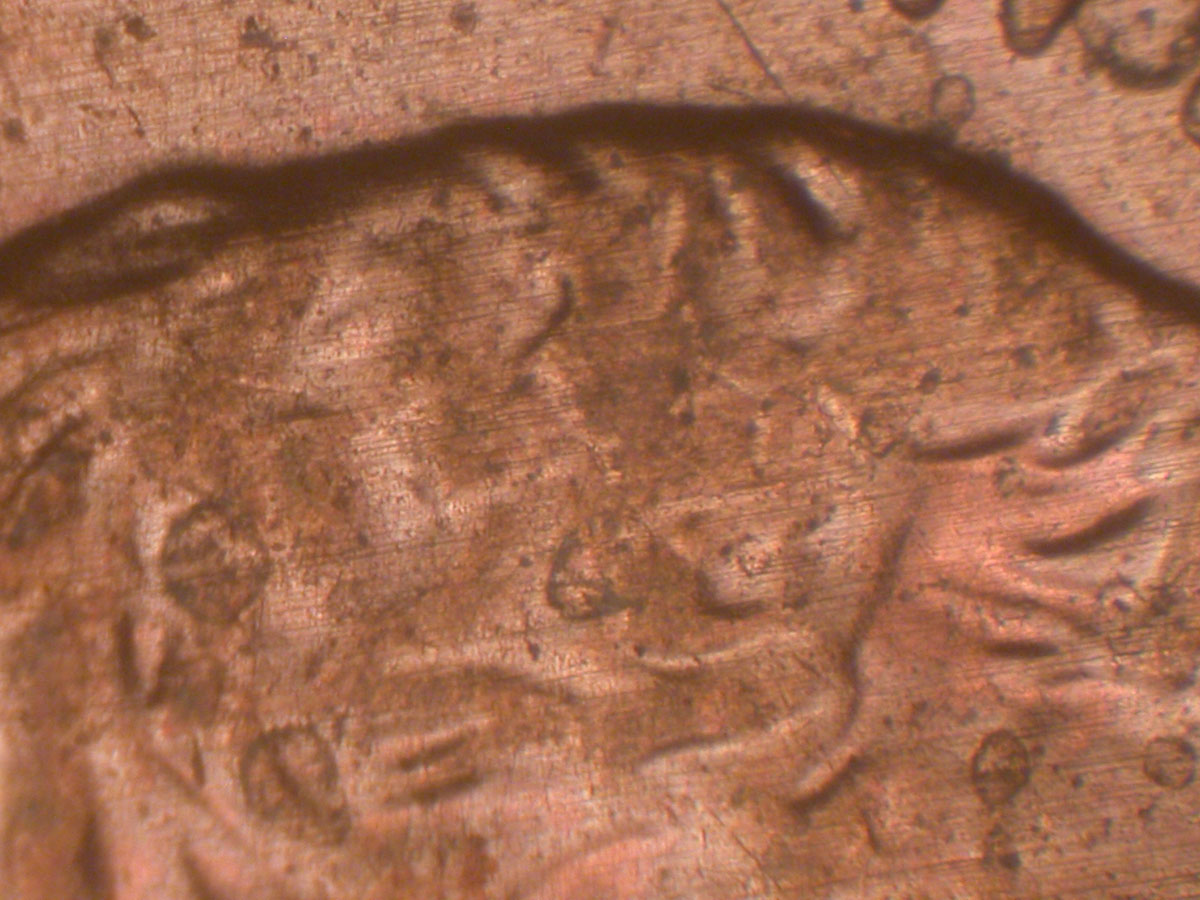 Read more about the article Lincoln Memorial Cent  2005    DDR-024 / Philadelphia