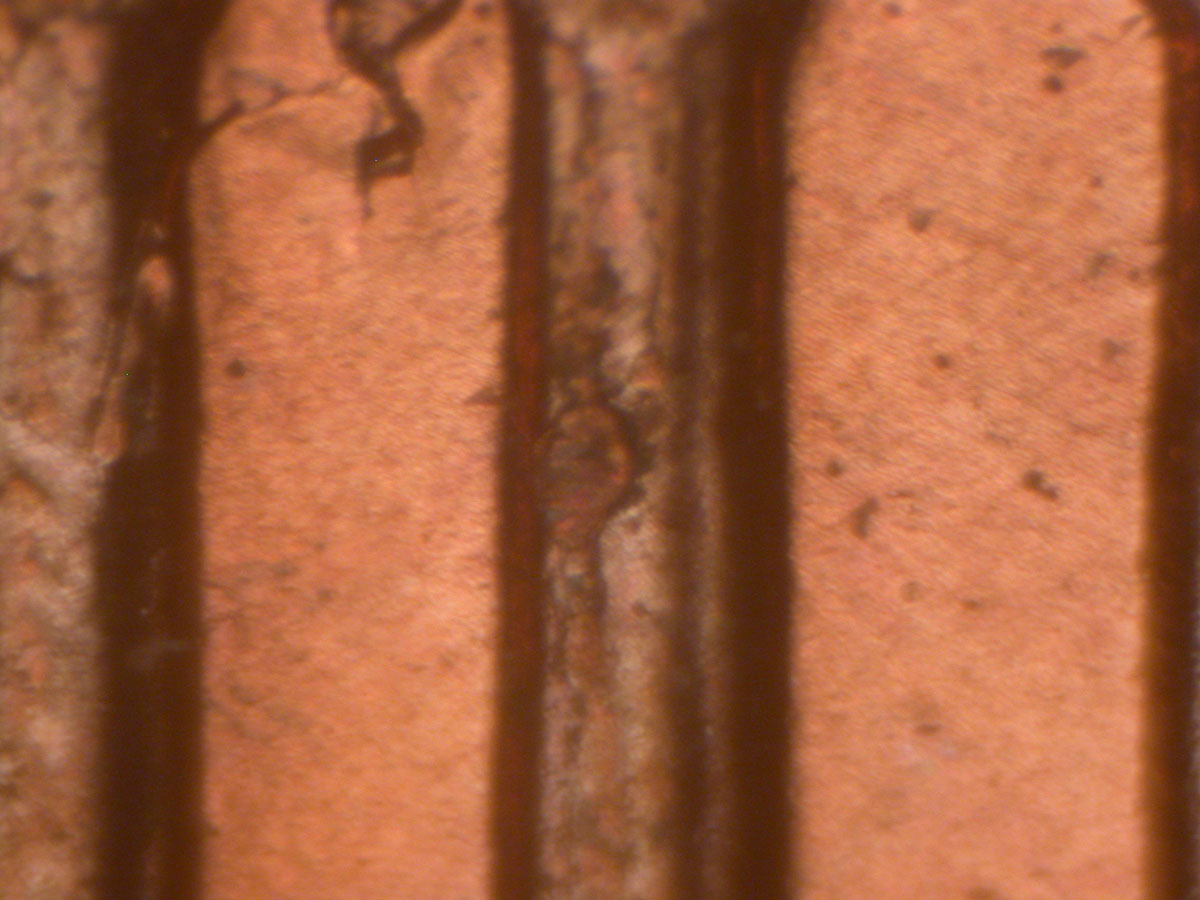 Read more about the article Lincoln Memorial Cent  2005    DDR-046 / Philadelphia