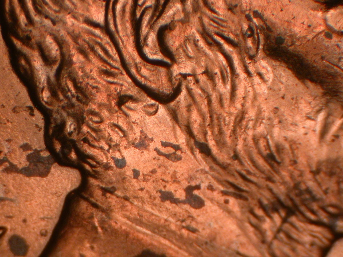 Read more about the article Lincoln Memorial Cent  2006    DDO-004 / Philadelphia