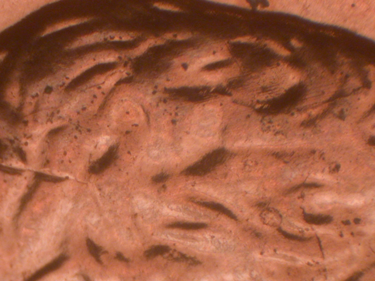 Read more about the article Lincoln Memorial Cent  2006    DDR-007 / Philadelphia