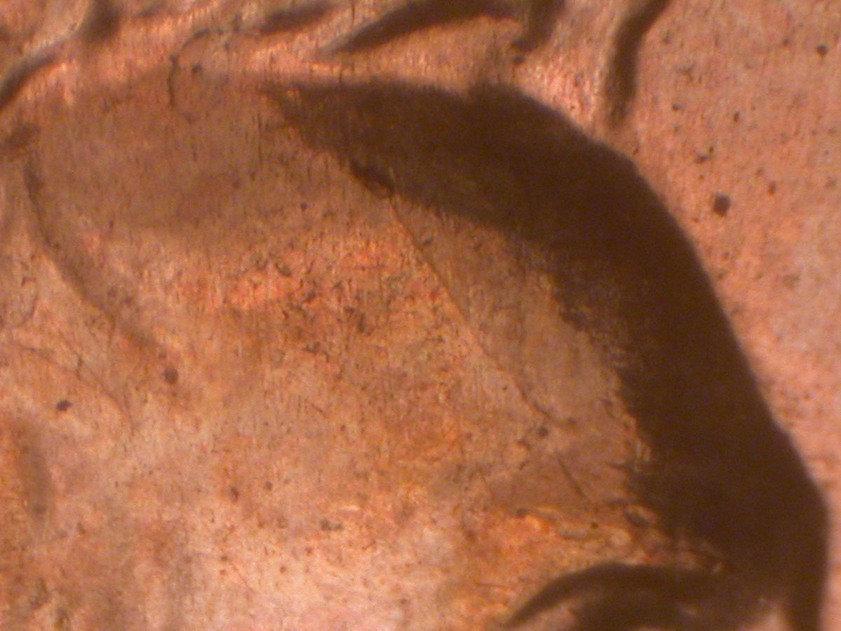 Read more about the article Lincoln Memorial Cent  2006    DDR-021 / Philadelphia