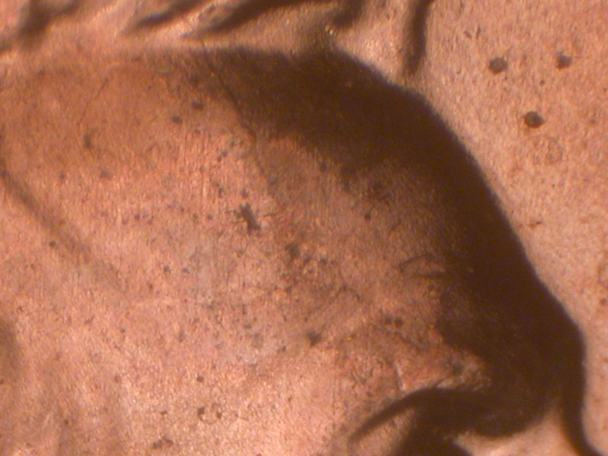 Read more about the article Lincoln Memorial Cent  2006    DDR-022 / Philadelphia