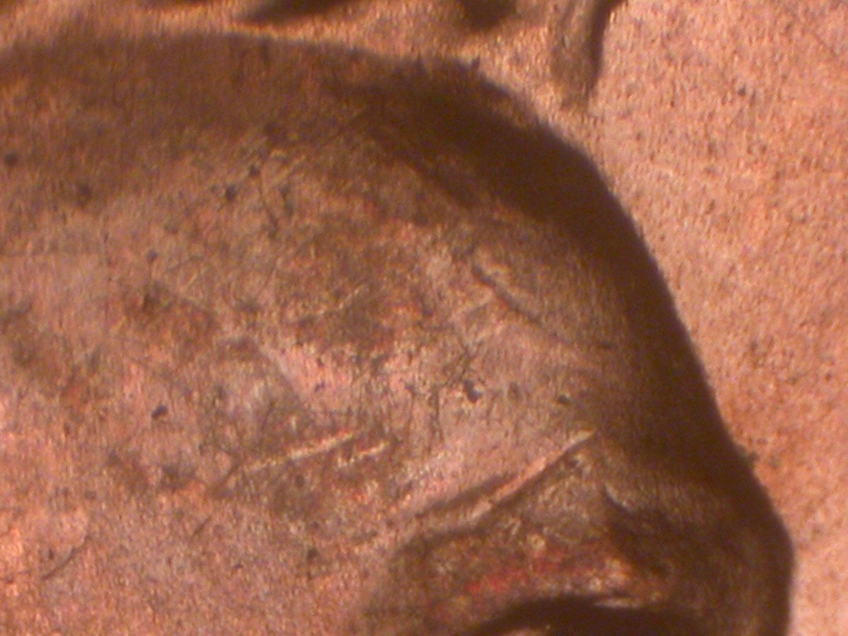 Read more about the article Lincoln Memorial Cent  2006    DDR-033 / Philadelphia