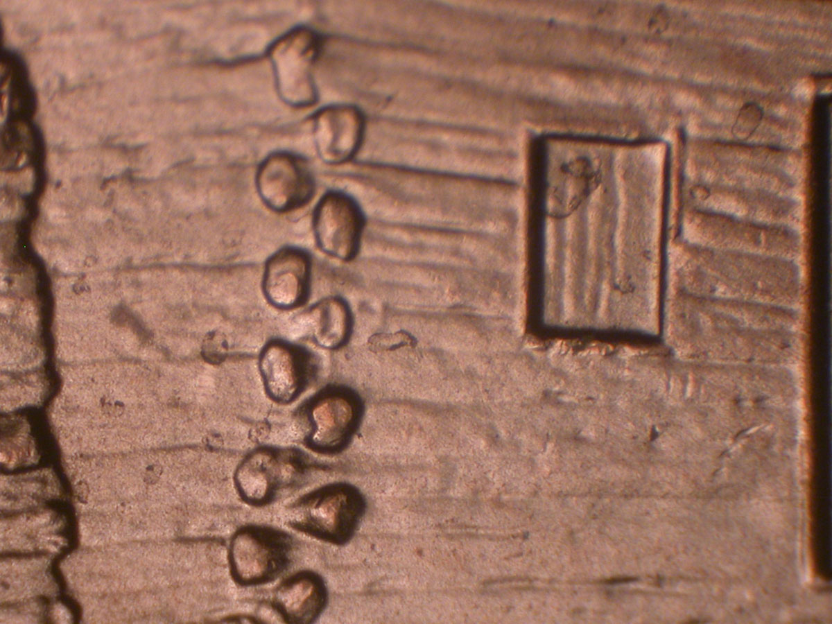 Read more about the article Lincoln Memorial Cent  2009-D    EC DDR-001 / Denver