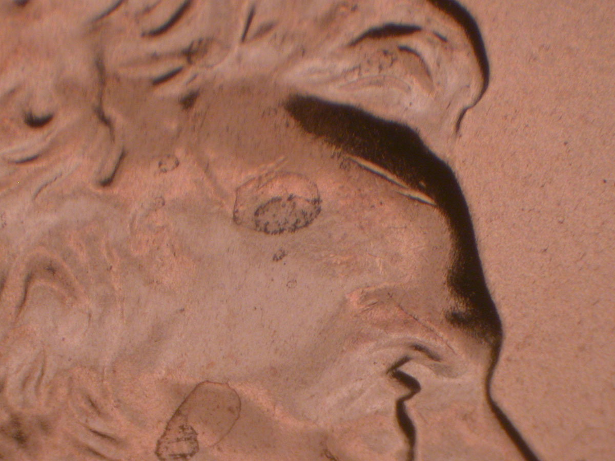 Read more about the article Lincoln Memorial Cent  2009-D    EC DDR-003 / Denver