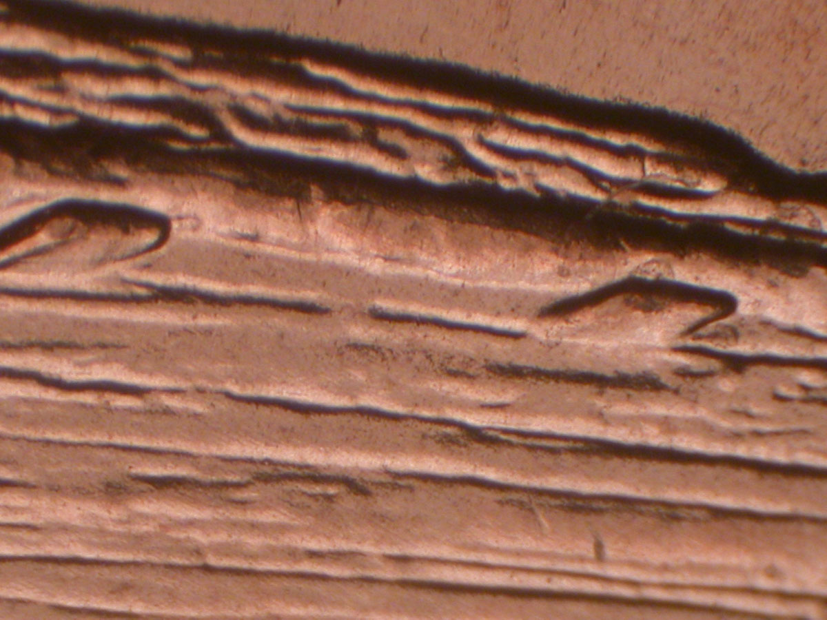 Read more about the article Lincoln Memorial Cent  2009-D    EC DDR-004 / Denver