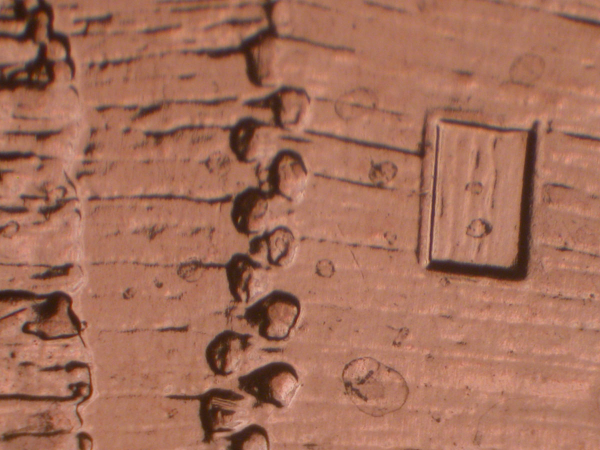 Read more about the article Lincoln Memorial Cent  2009-D    EC DDR-006 / Denver