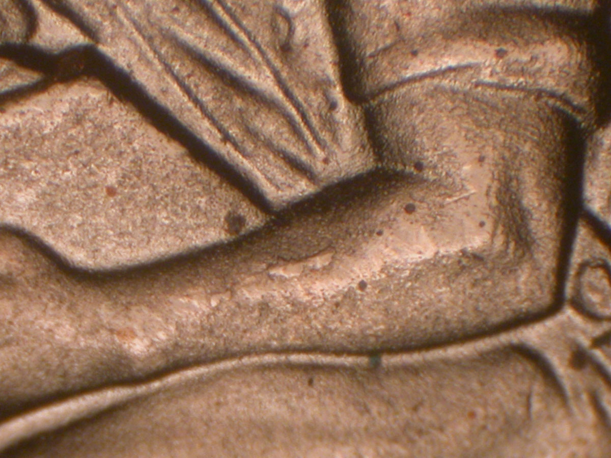 Read more about the article Lincoln Memorial Cent  2009-D    FY DDR-008 / Denver