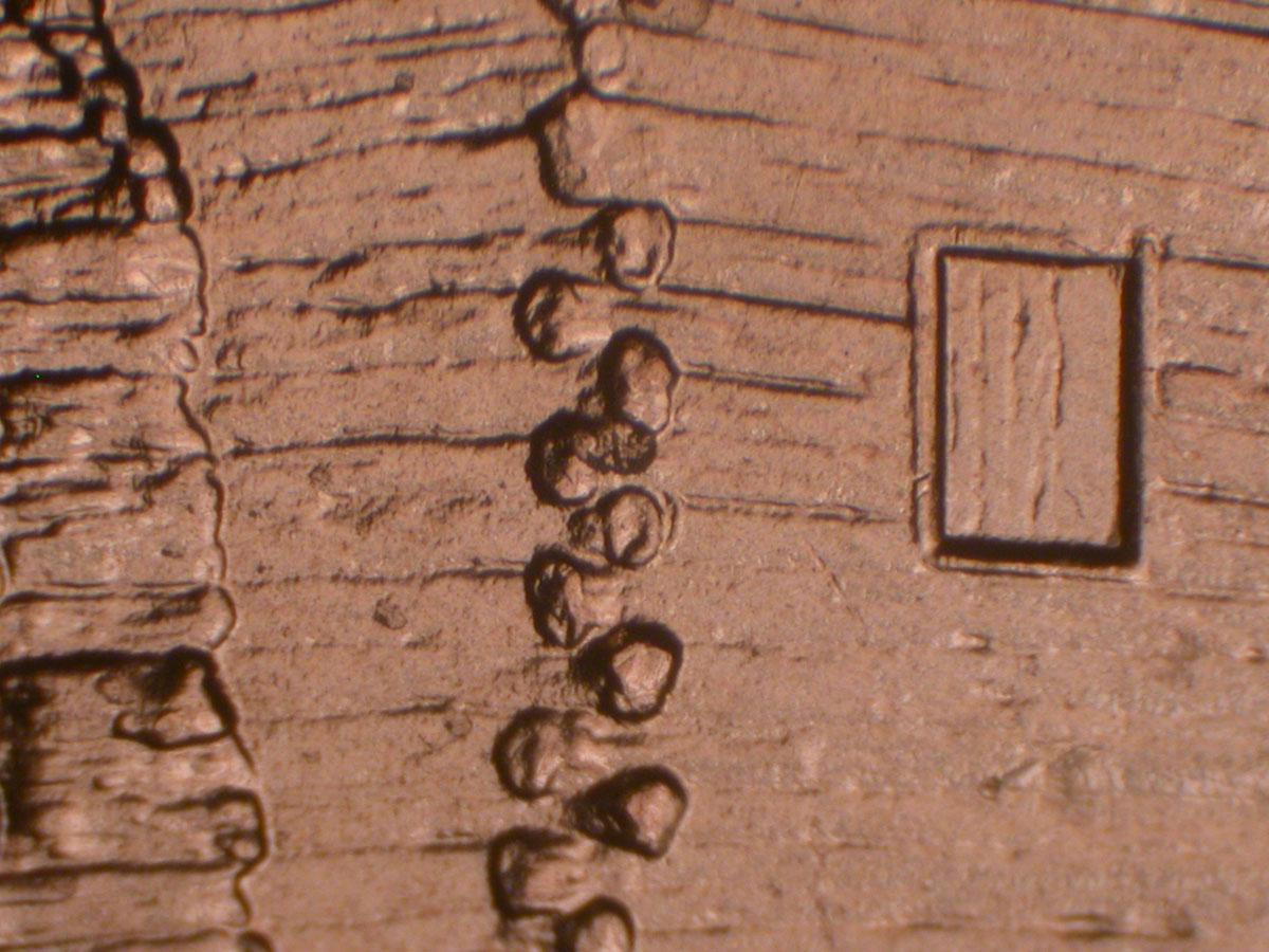 Read more about the article Lincoln Memorial Cent  2009    EC DDR-004 / Philadelphia