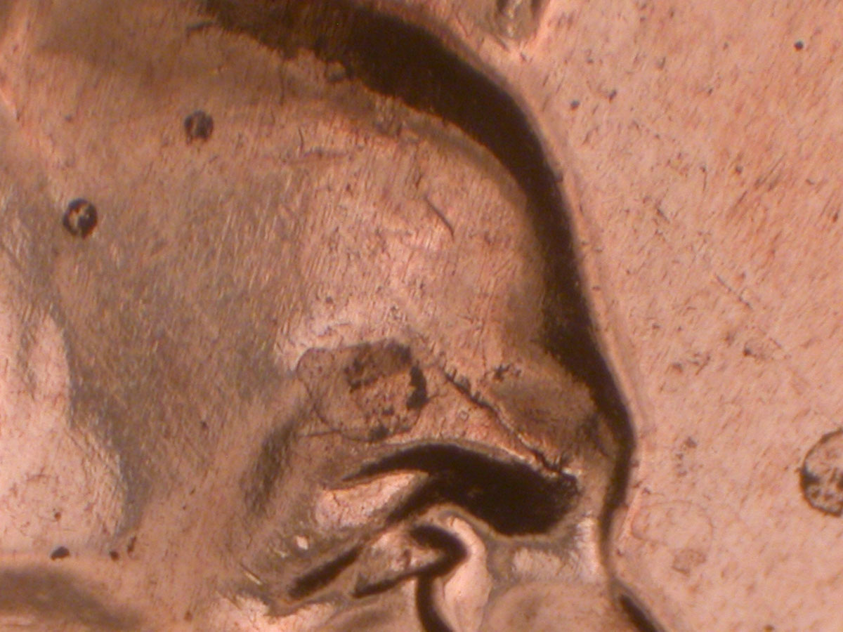 Read more about the article Lincoln Memorial Cent  2009    EC DDR-006 / Philadelphia