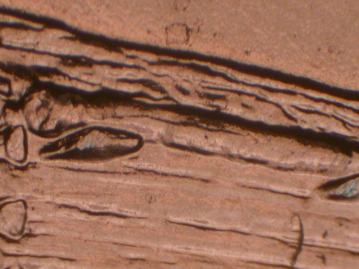 Read more about the article Lincoln Memorial Cent  2009    EC DDR-007 / Philadelphia