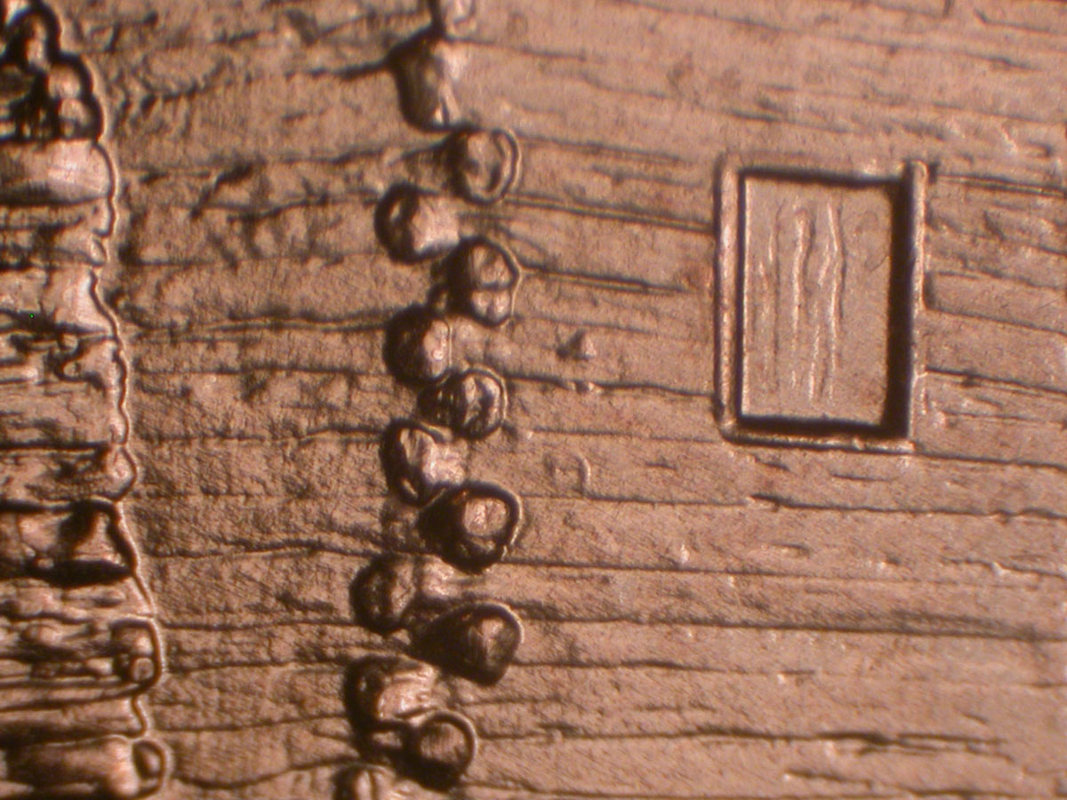 Read more about the article Lincoln Memorial Cent  2009    EC DDR-010 / Philadelphia