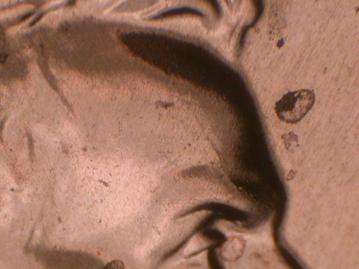 Read more about the article Lincoln Memorial Cent  2009    EC DDR-019 / Philadelphia