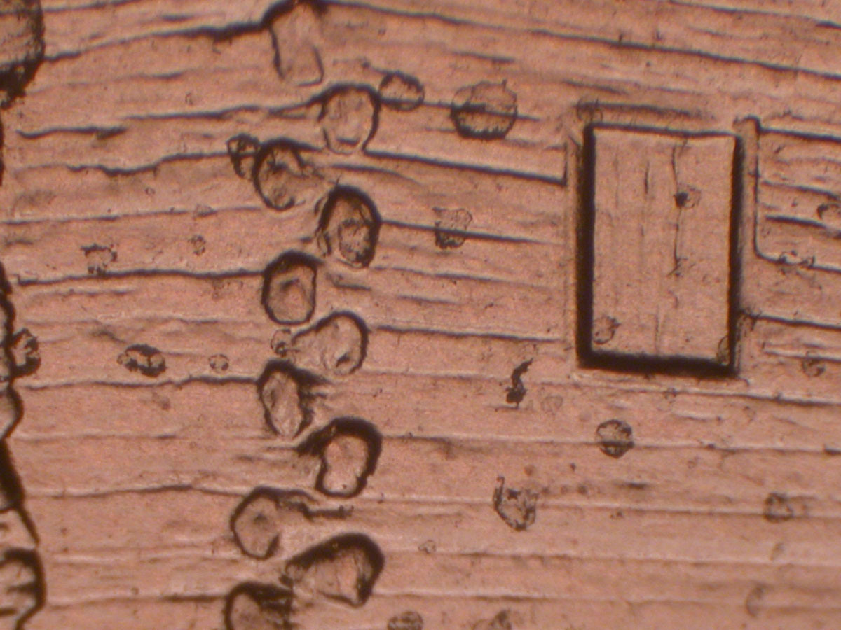 Read more about the article Lincoln Memorial Cent  2009    EC DDR-026 / Philadelphia