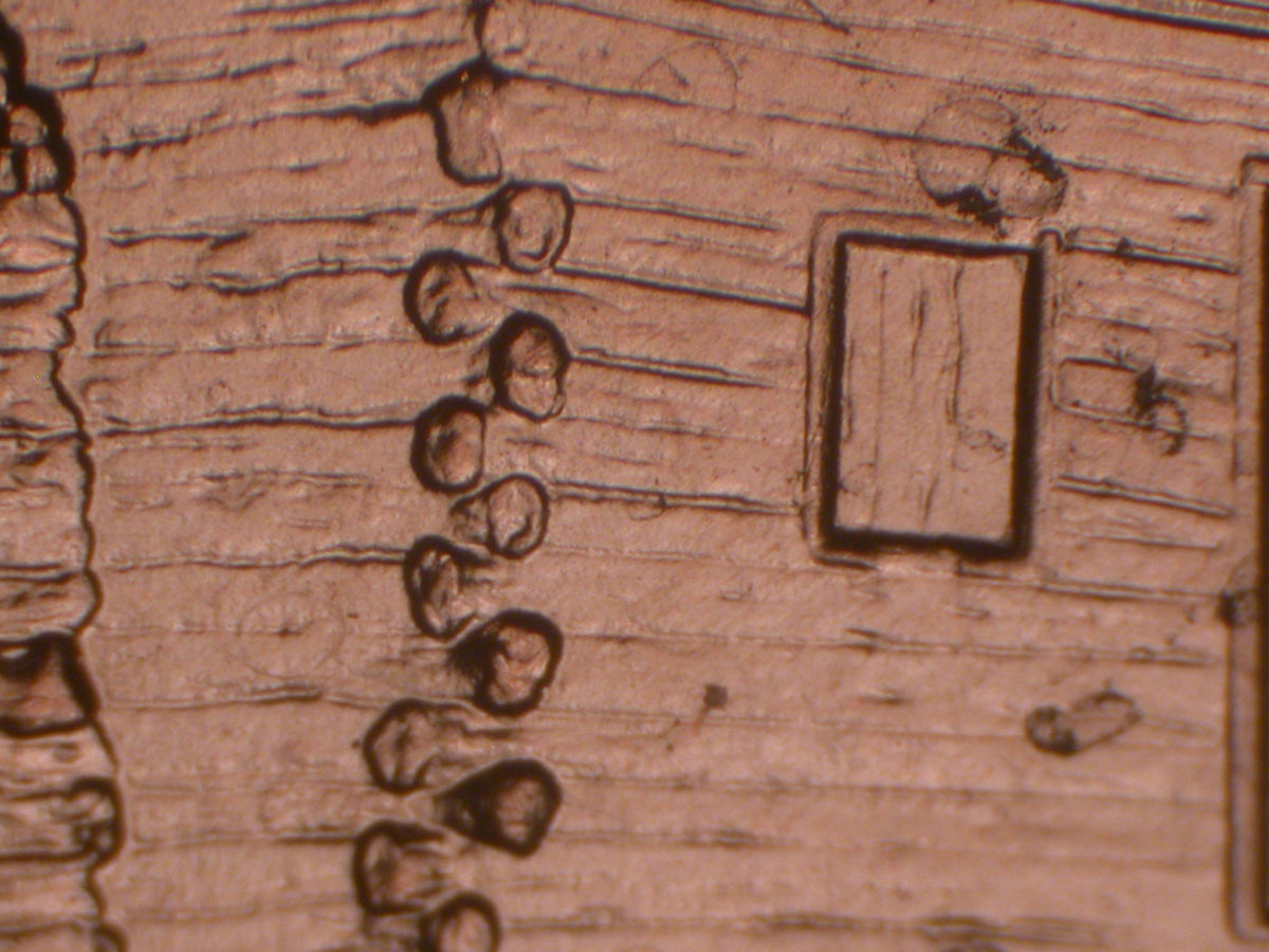 Read more about the article Lincoln Memorial Cent  2009    EC DDR-027 / Philadelphia