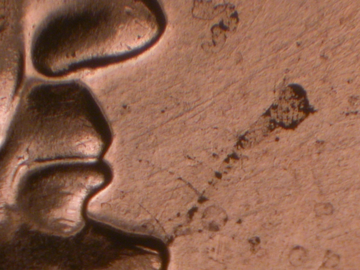 Read more about the article Lincoln Memorial Cent  2009    EC DDR-028 / Philadelphia