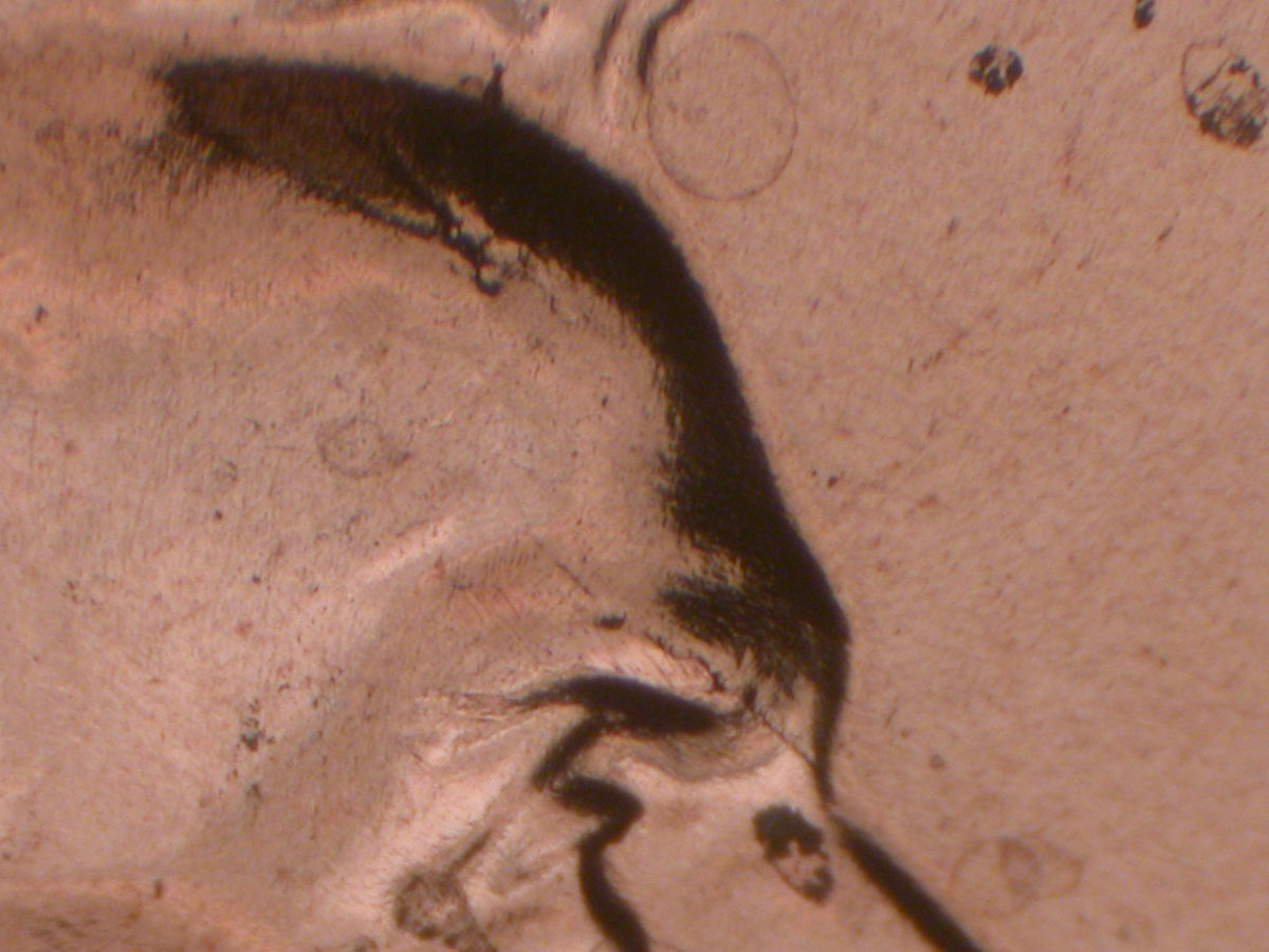 Read more about the article Lincoln Memorial Cent  2009    EC DDR-029 / Philadelphia