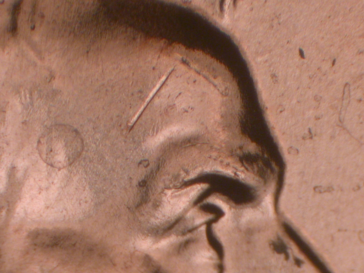 Read more about the article Lincoln Memorial Cent  2009    EC DDR-030 / Philadelphia