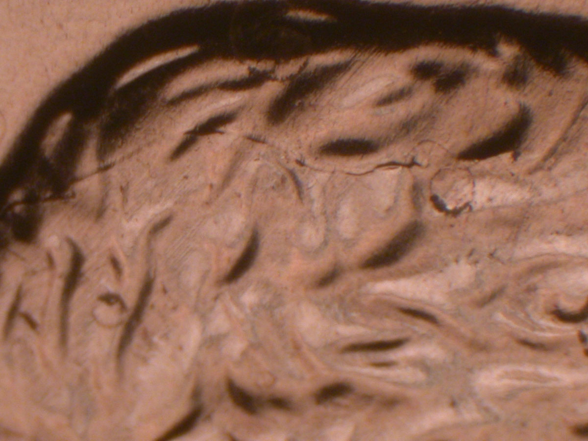 Read more about the article Lincoln Memorial Cent  2009    EC DDR-031 / Philadelphia