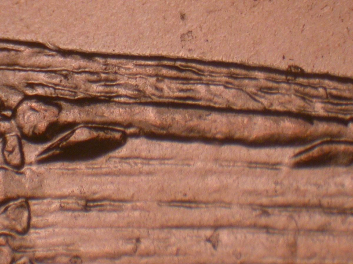 Read more about the article Lincoln Memorial Cent  2009    EC DDR-034 / Philadelphia