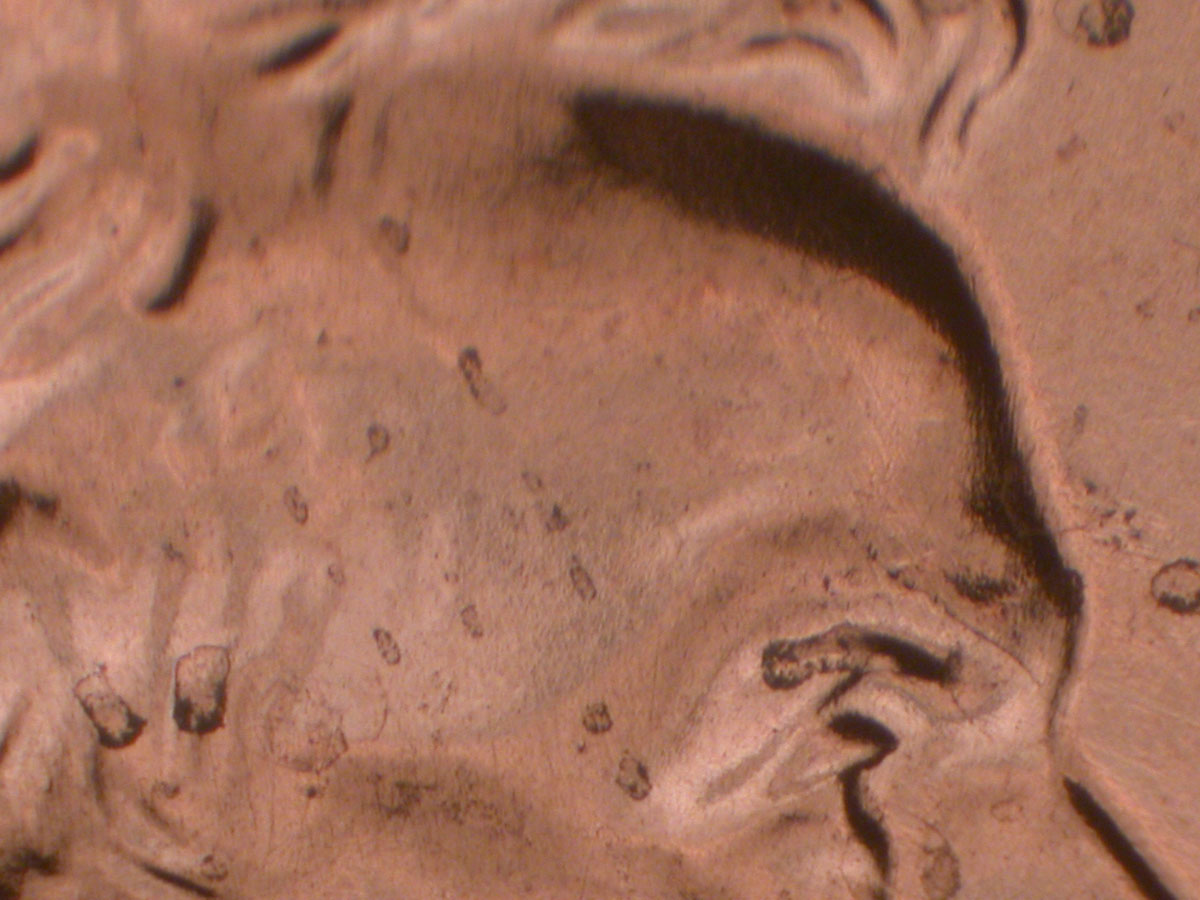 Read more about the article Lincoln Memorial Cent  2009    EC DDR-039 / Philadelphia