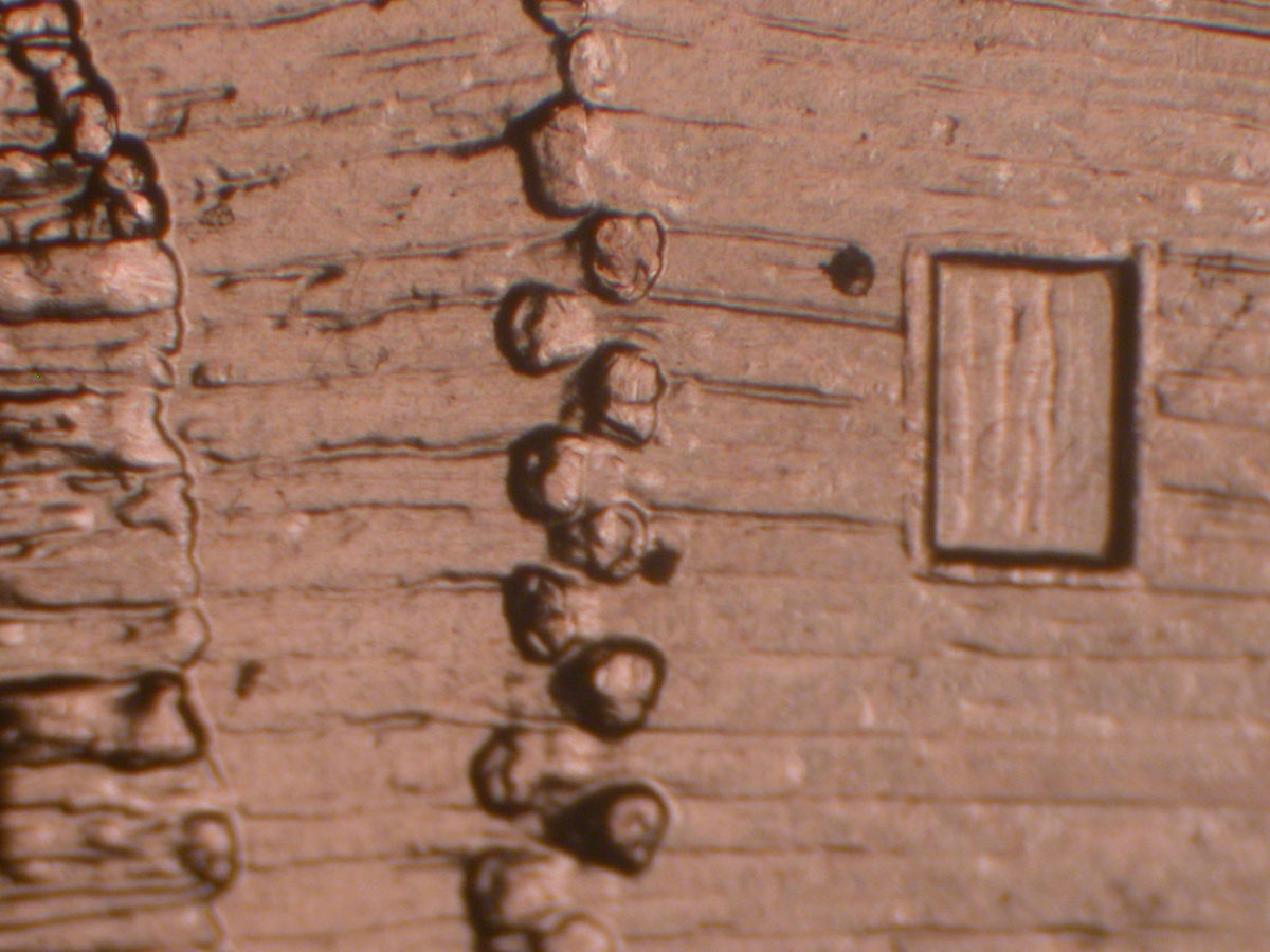 Read more about the article Lincoln Memorial Cent  2009    EC DDR-040 / Philadelphia