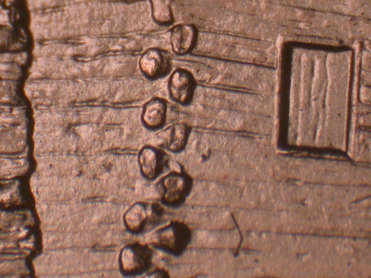 Read more about the article Lincoln Memorial Cent  2009    EC DDR-043 / Philadelphia