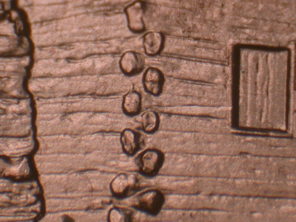 Read more about the article Lincoln Memorial Cent  2009    EC DDR-045 / Philadelphia