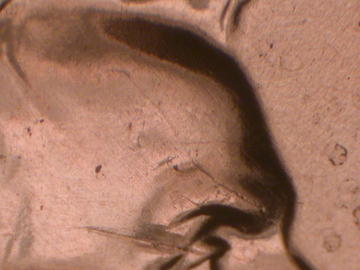 Read more about the article Lincoln Memorial Cent  2009    EC DDR-046 / Philadelphia