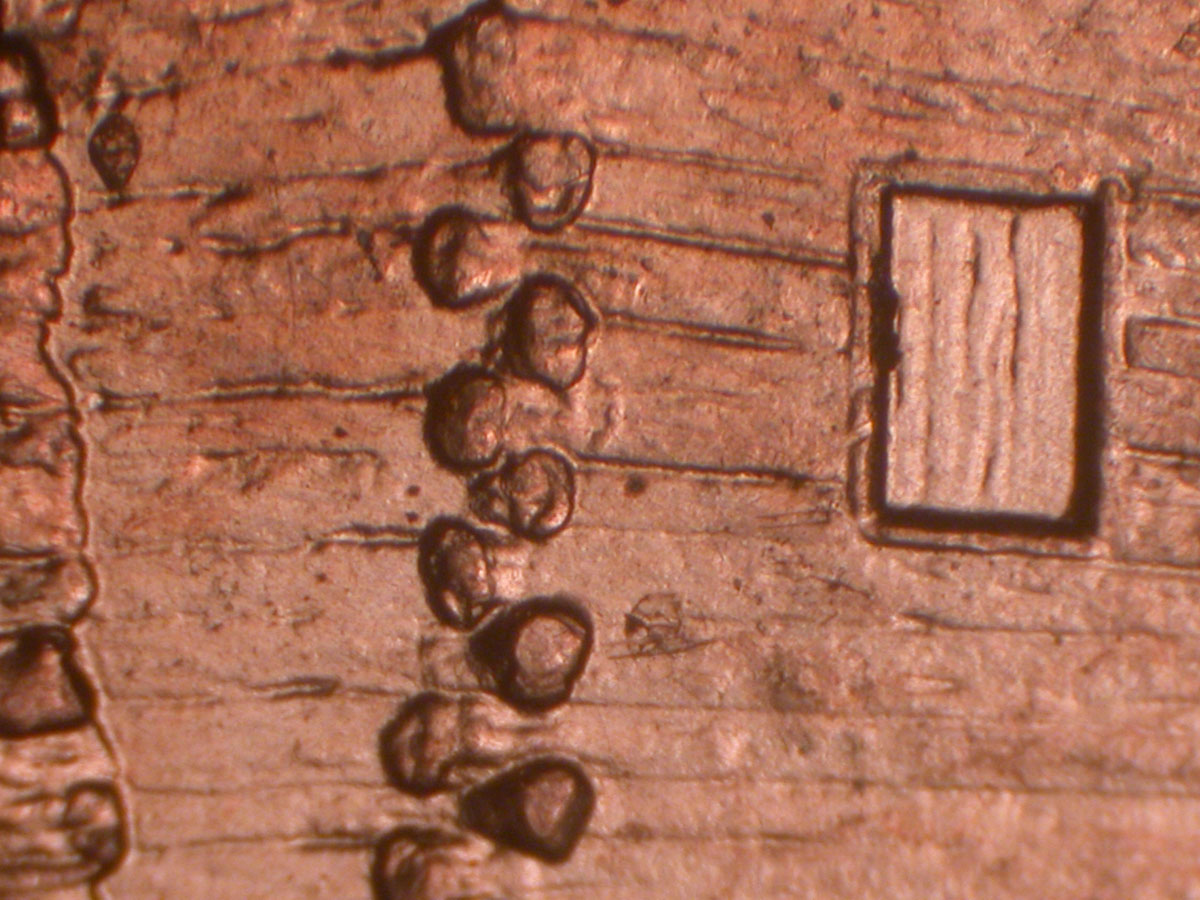 Read more about the article Lincoln Memorial Cent  2009    EC DDR-052 / Philadelphia