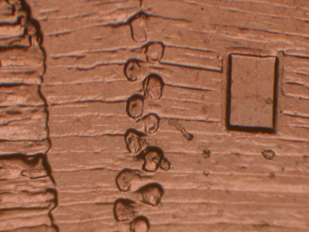 Read more about the article Lincoln Memorial Cent  2009    EC DDR-053 / Philadelphia