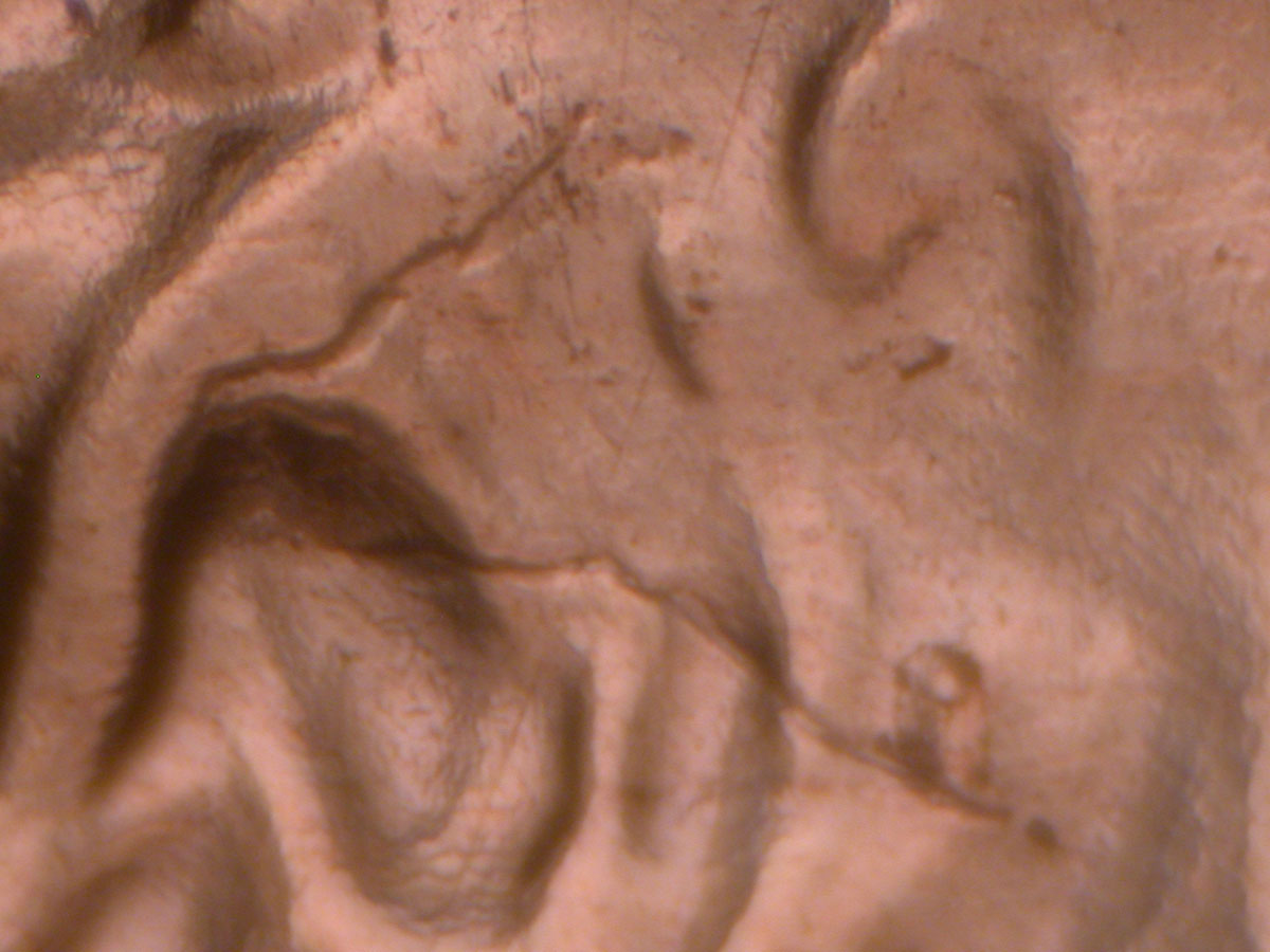 Read more about the article Lincoln Memorial Cent  2009    EC DDR-056 / Philadelphia