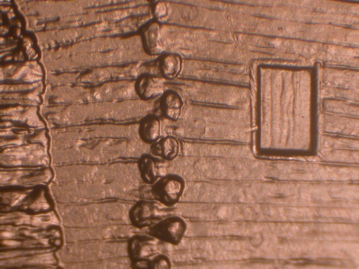 Read more about the article Lincoln Memorial Cent  2009    EC DDR-059 / Philadelphia