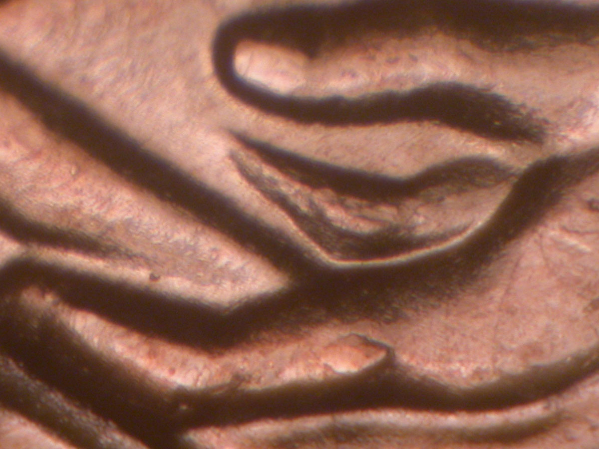 Read more about the article Lincoln Memorial Cent  2009    FY DDR-002 / Philadelphia
