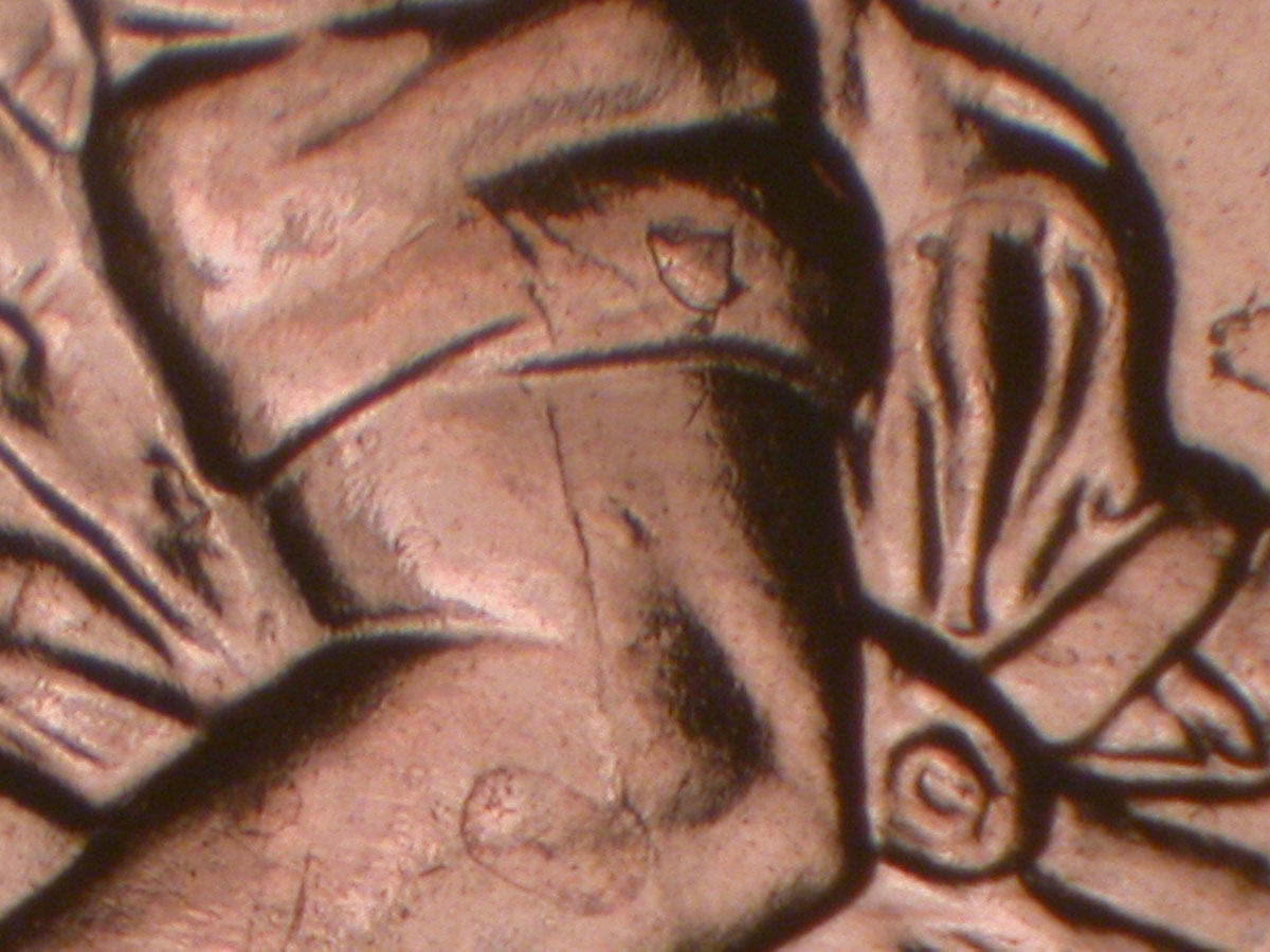 Read more about the article Lincoln Memorial Cent  2009    FY DDR-004 / Philadelphia