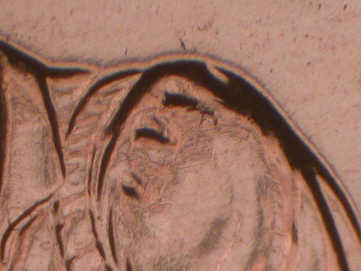 Read more about the article Lincoln Memorial Cent  2009    FY DDR-018 / Philadelphia