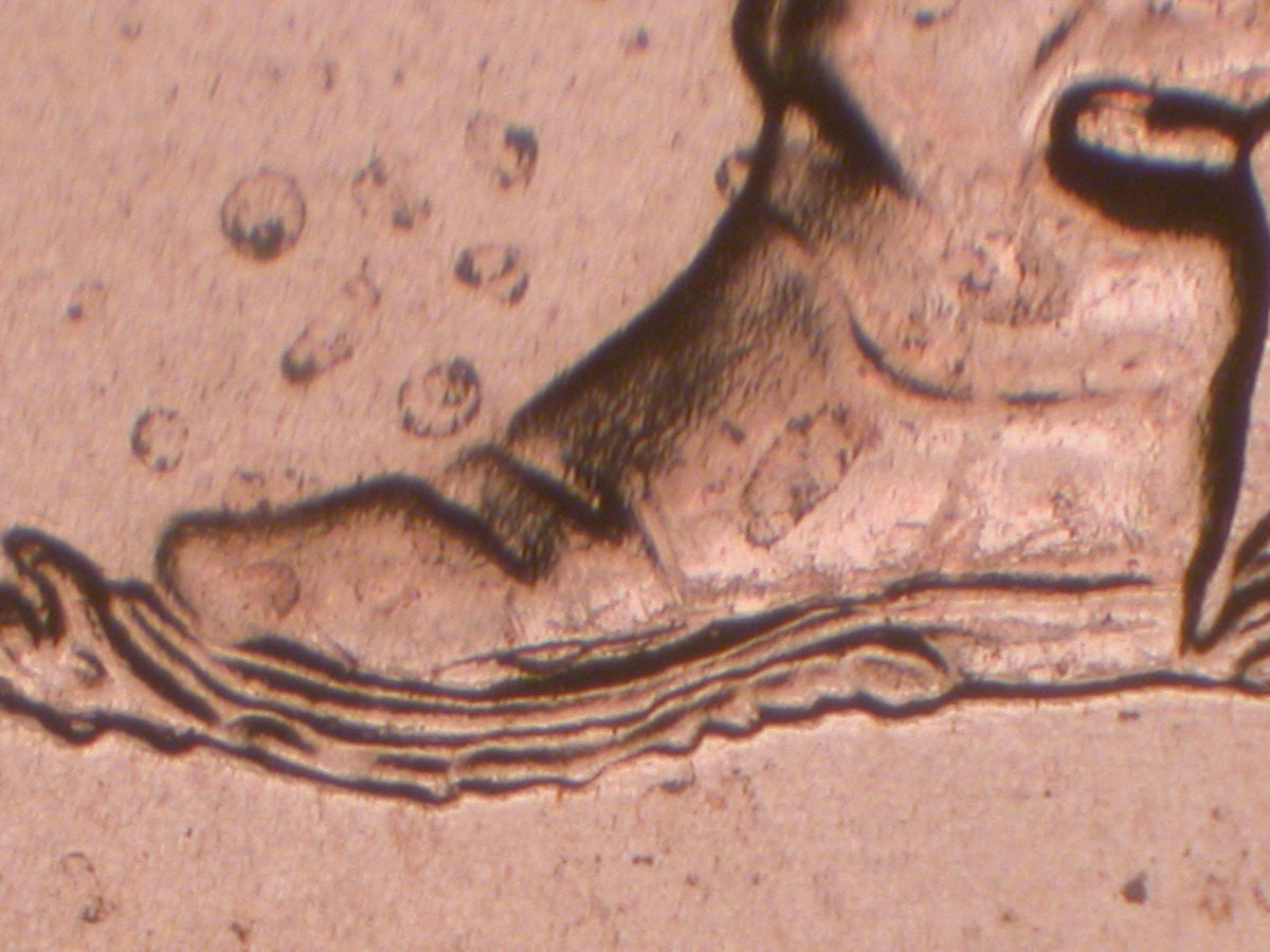 Read more about the article Lincoln Memorial Cent  2009    FY DDR-021 / Philadelphia