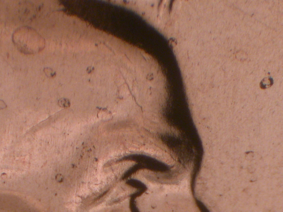 Read more about the article Lincoln Memorial Cent  2009    FY DDR-022 / Philadelphia