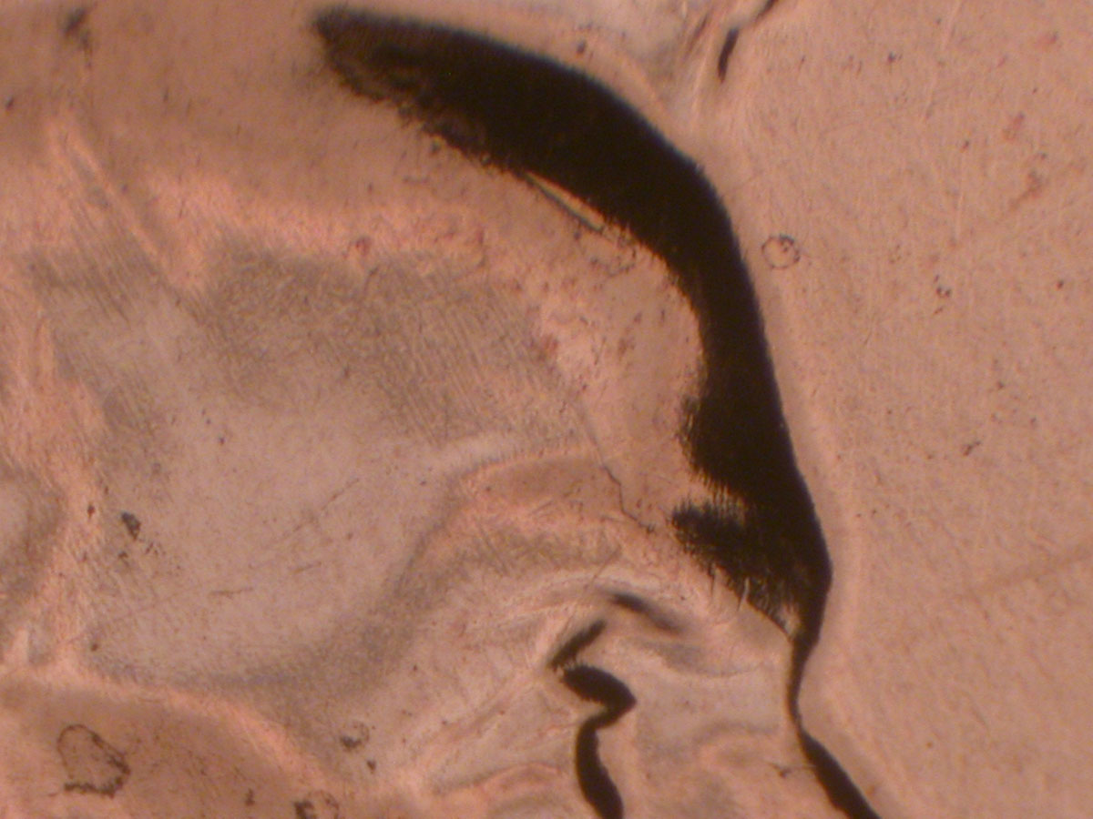 Read more about the article Lincoln Memorial Cent  2009    FY DDR-027 / Philadelphia