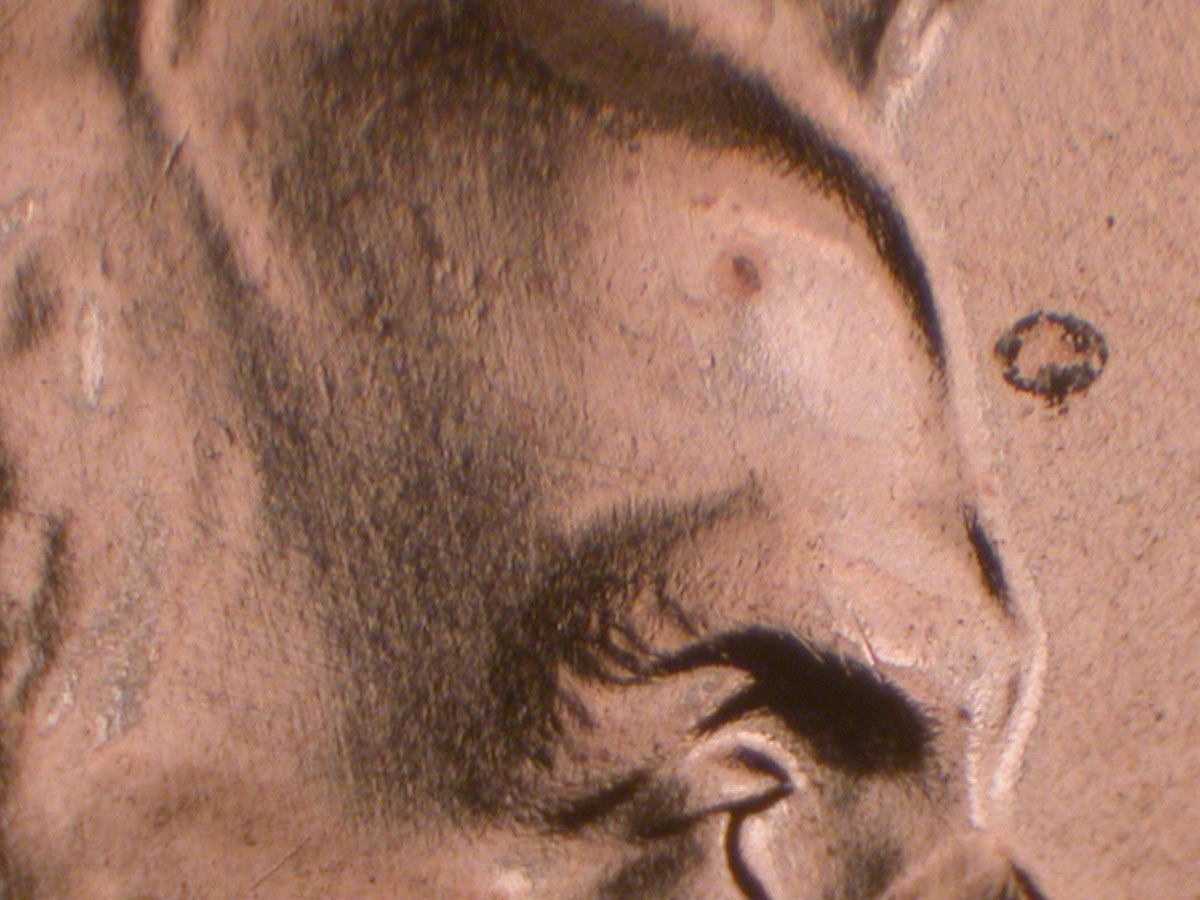 Read more about the article Lincoln Memorial Cent  2009    FY DDR-060 / Philadelphia