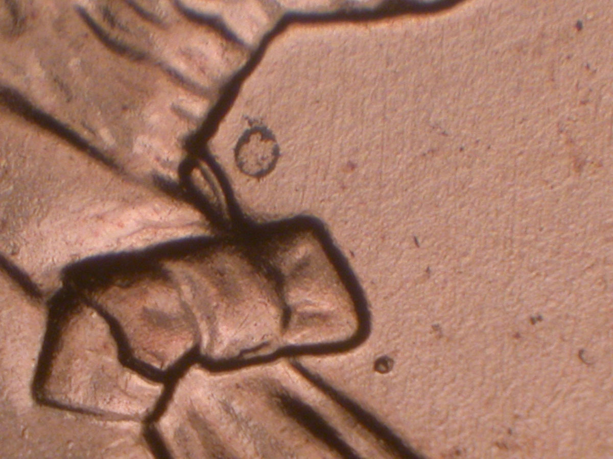 Read more about the article Lincoln Memorial Cent  2009    FY DDR-066 / Philadelphia