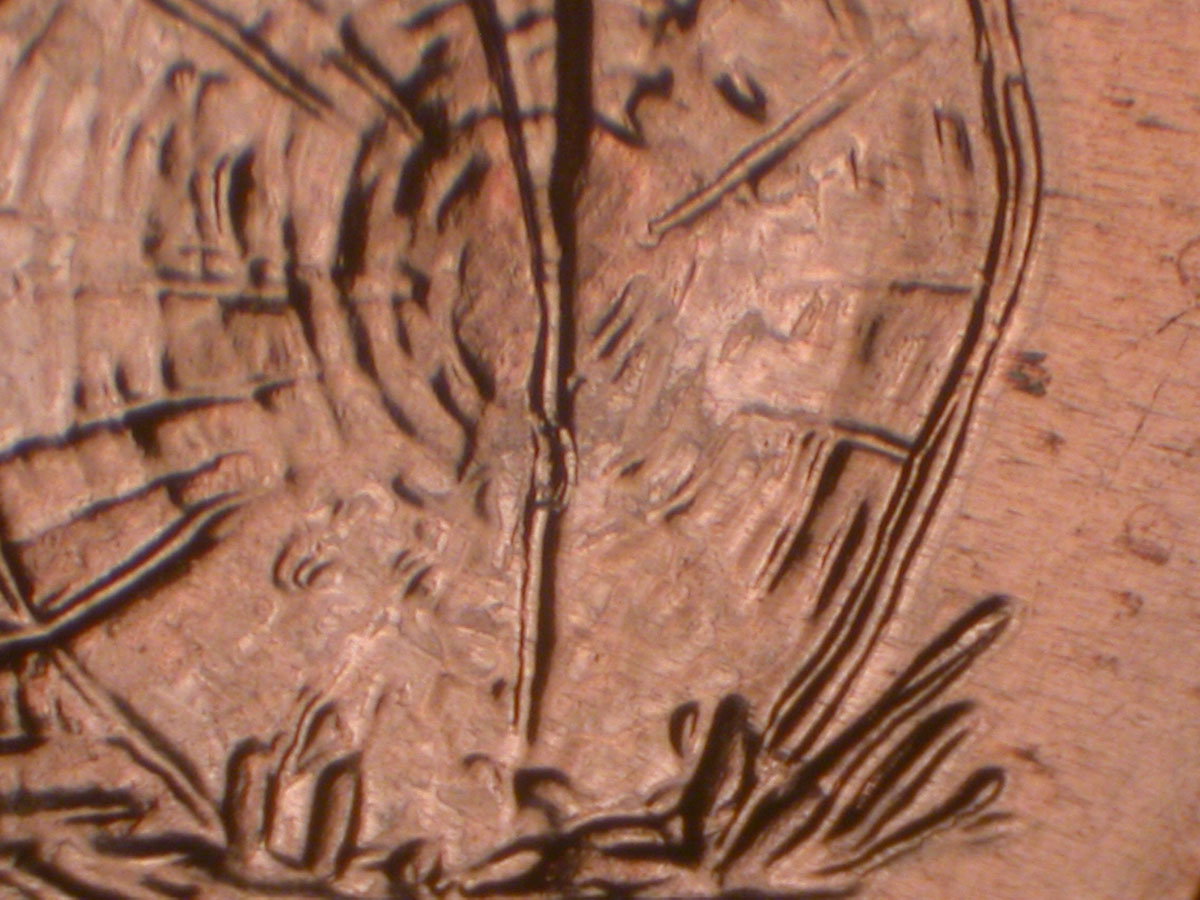 Read more about the article Lincoln Memorial Cent  2009    FY DDR-070 / Philadelphia