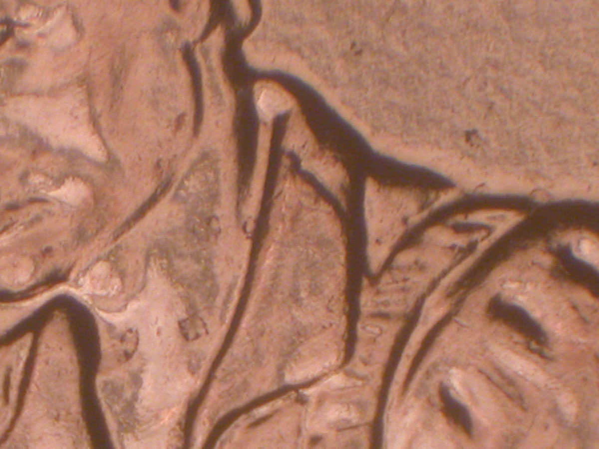 Read more about the article Lincoln Memorial Cent  2009    FY DDR-076 / Philadelphia