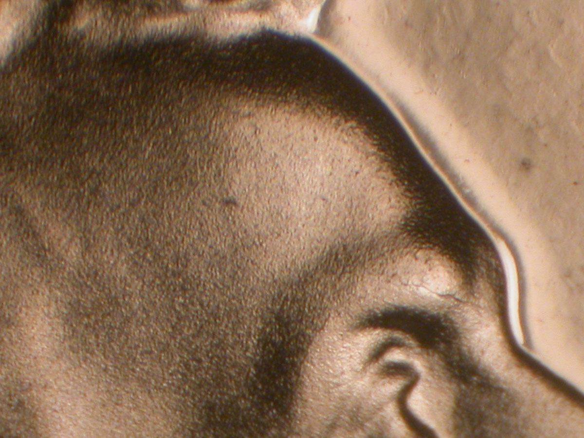 Read more about the article Lincoln Memorial Cent  2009-S    FY DDR-001 / San Fransisco