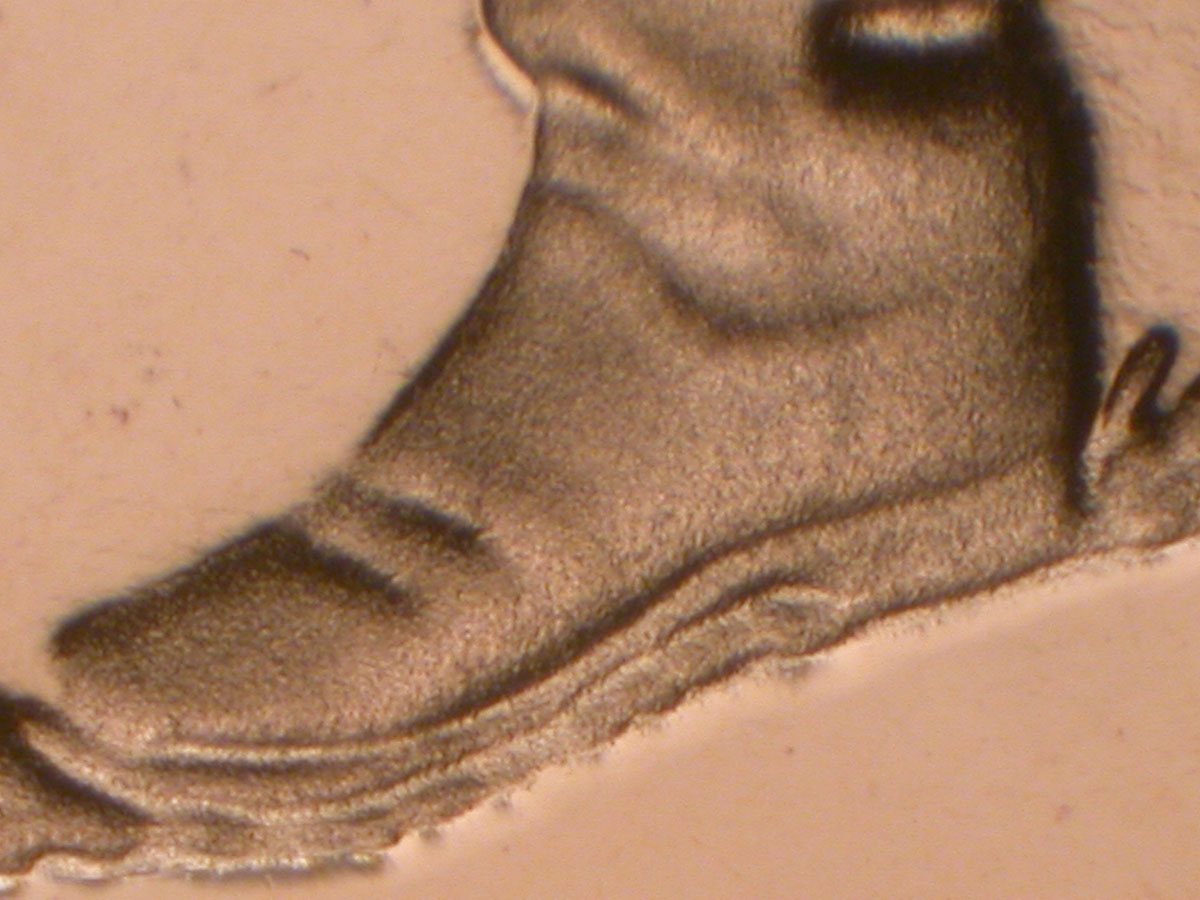 Read more about the article Lincoln Memorial Cent  2009-S    FY DDR-002 / San Fransisco