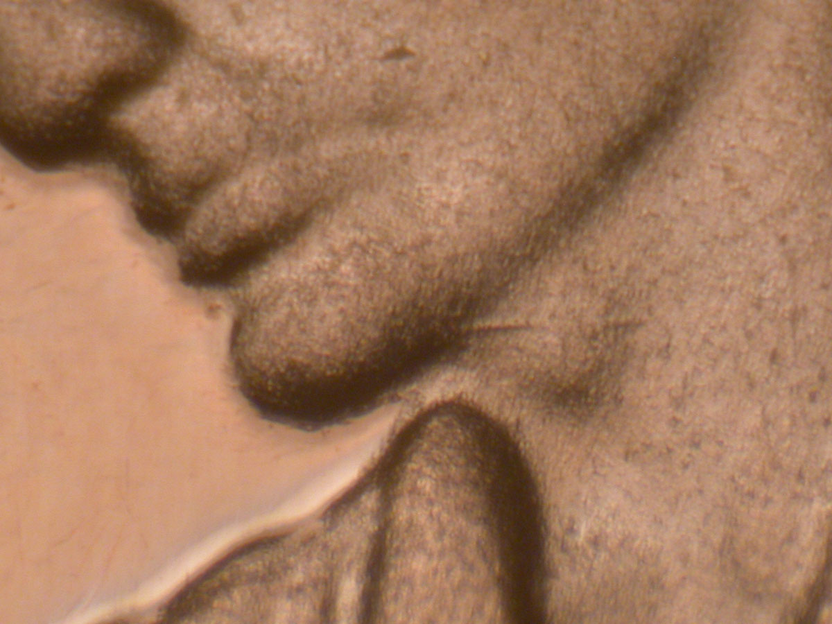 Read more about the article Lincoln Memorial Cent  2009-S  PR  FY DDR-003 / San Fransisco