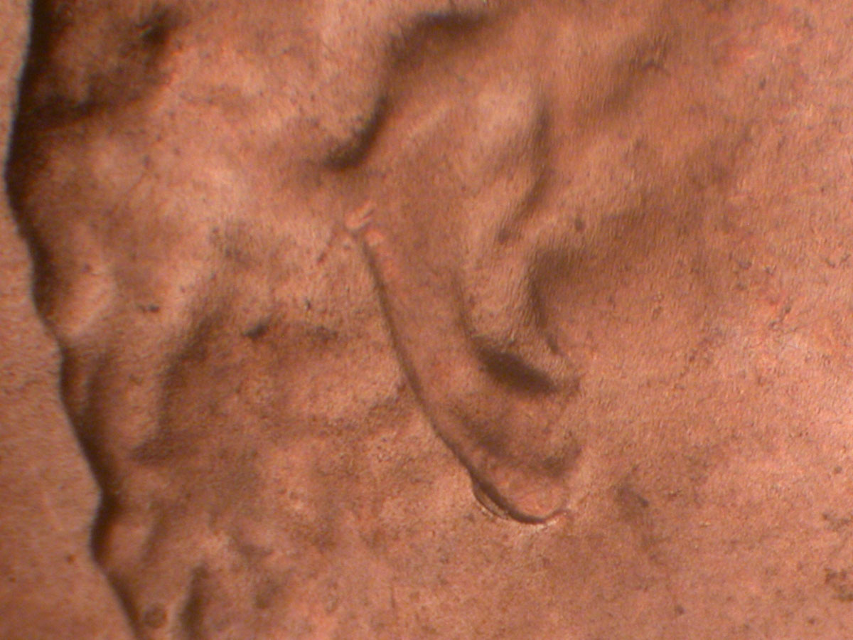 Read more about the article Lincoln Memorial Cent  2015-D    DDO-002 / Denver