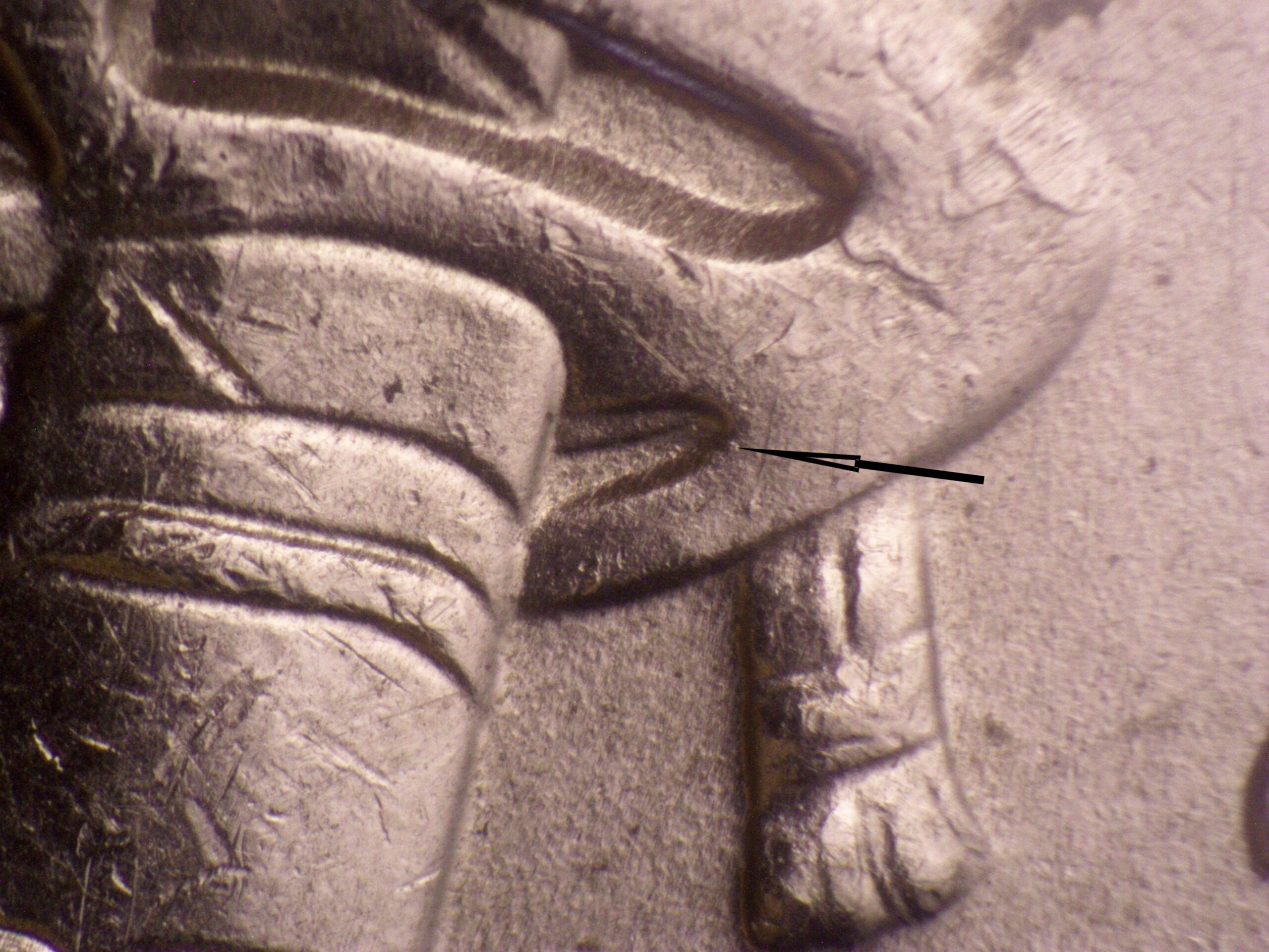 Read more about the article Jefferson Nickel  2015-P    NY DDR-002 / Philadelphia